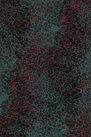 豹纹印花华亿平台图片