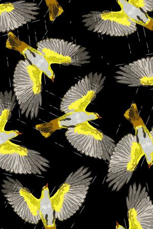 简约印花华亿平台图片