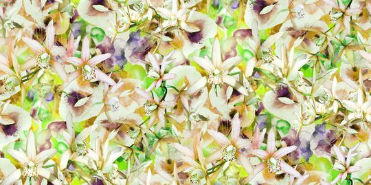 清新自然印花华亿平台图片