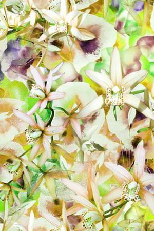 清新自然印花华亿平台图片