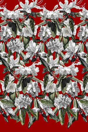 连衣裙印花华亿平台图片