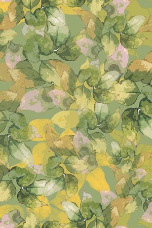 大牌风印花华亿平台图片