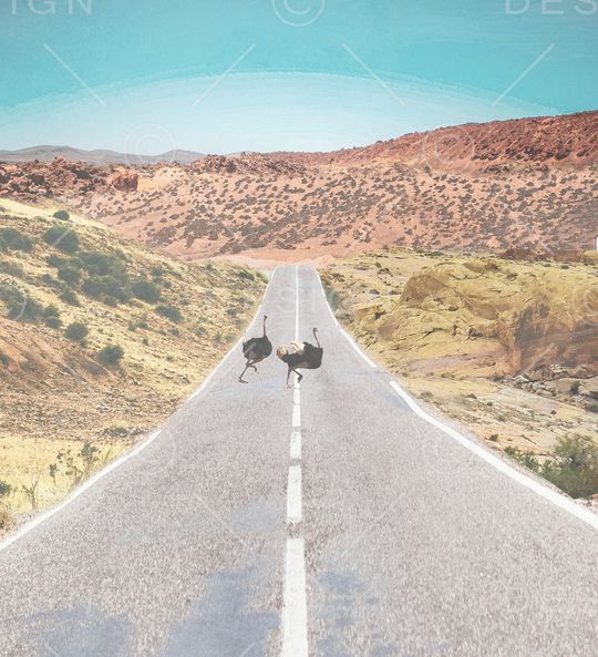 树林印花华亿平台图片