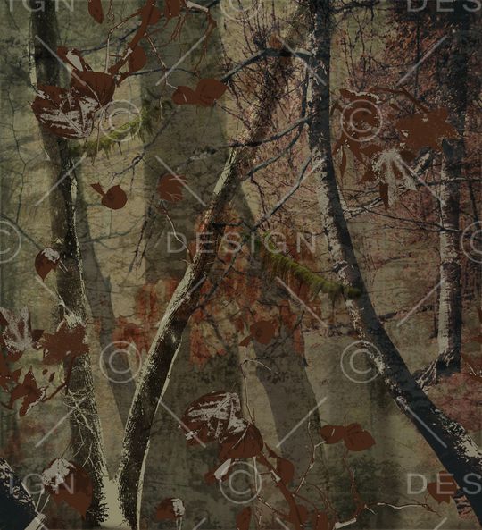 树林印花华亿平台图片