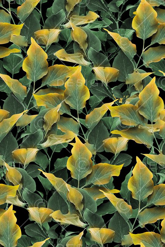 绿植树叶印花华亿平台图片