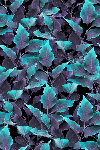 1319732-2020-04-26-d1