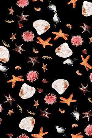 童装印花华亿平台图片