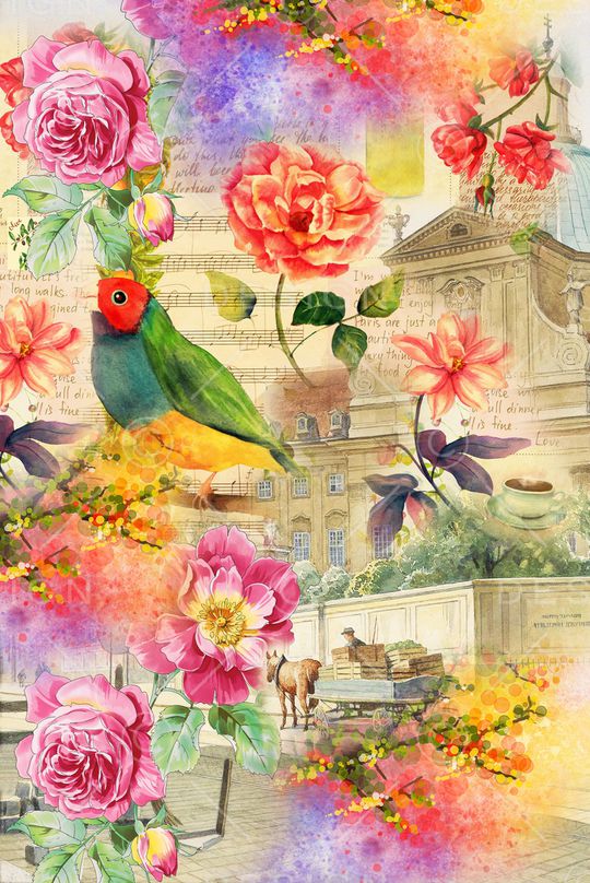 潮牌印花华亿平台图片