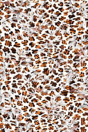 彩底花卉印花华亿平台图片