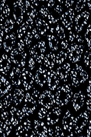 彩底花卉印花华亿平台图片