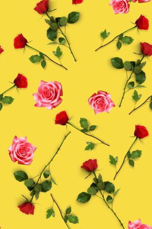 清爽底花卉印花华亿平台图片