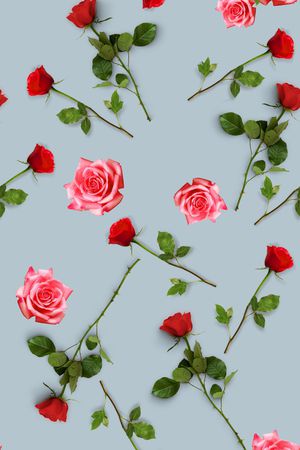 清爽底花卉印花华亿平台图片