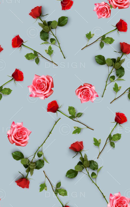 清爽底花卉印花华亿平台图片