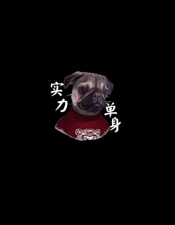 胸前独幅印花华亿平台图片