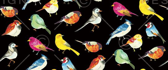 鸟印花华亿平台图片