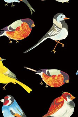 鸟印花华亿平台图片