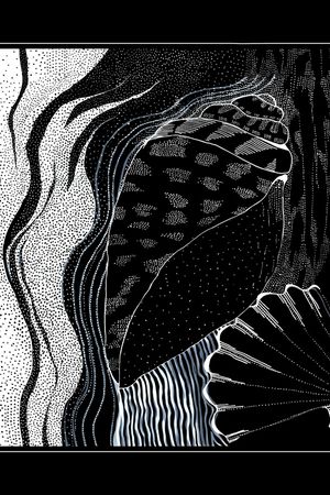 线条印花华亿平台图片