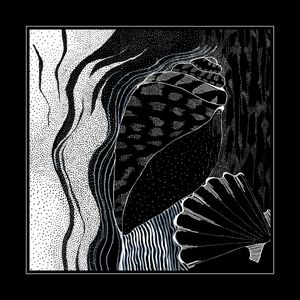 线条印花华亿平台图片