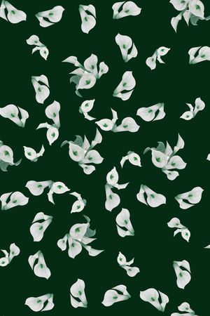 彩底花卉印花华亿平台图片