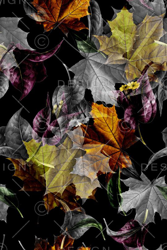 黑底花卉印花华亿平台图片