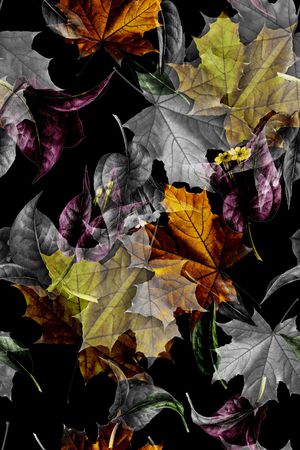 黑底花卉印花华亿平台图片