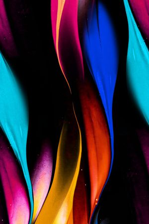 女装印花华亿平台图片