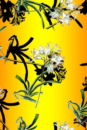 彩底花卉印花华亿平台图片