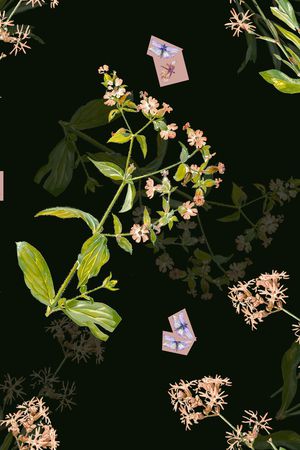 彩底花卉印花华亿平台图片