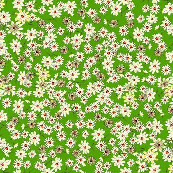 清爽底花卉印花华亿平台图片