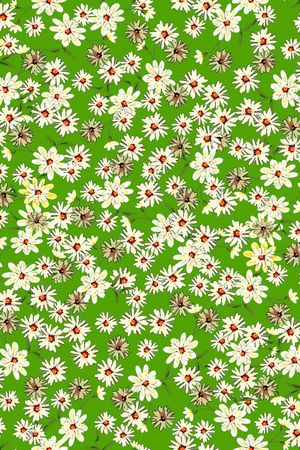 清爽底花卉印花华亿平台图片