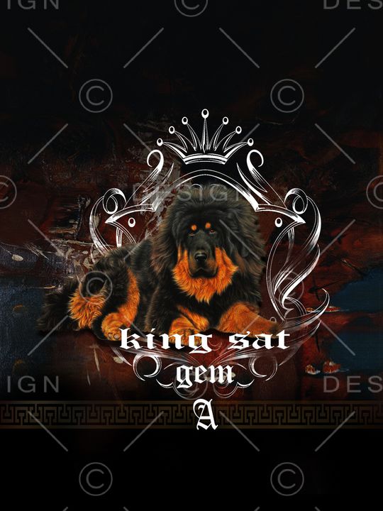 字母印花华亿平台图片