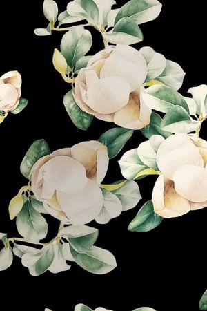 黑底花卉印花华亿平台图片