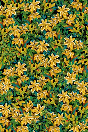 大牌风印花华亿平台图片