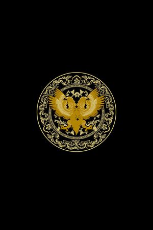 胸前独幅印花华亿平台图片