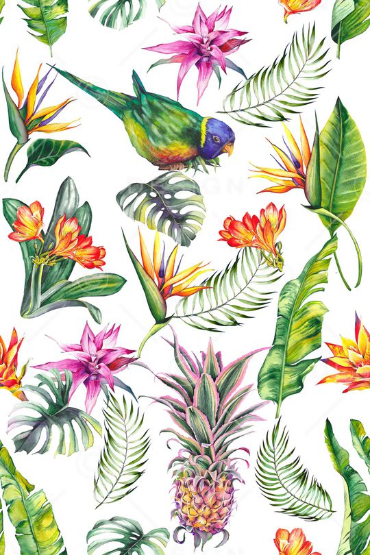 菠萝印花华亿平台图片