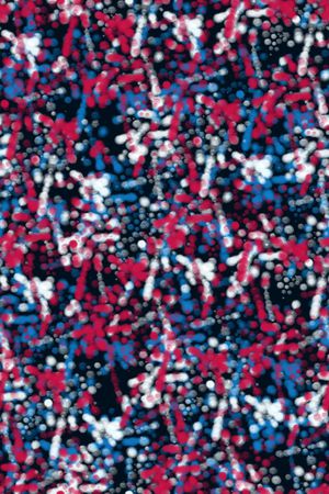 运动服印花华亿平台图片