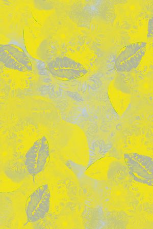 线条印花华亿平台图片