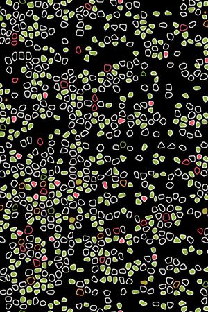 男装印花华亿平台图片