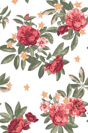 女装印花华亿平台图片