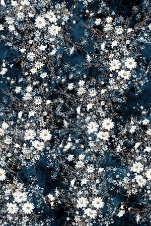 黑底花卉印花华亿平台图片