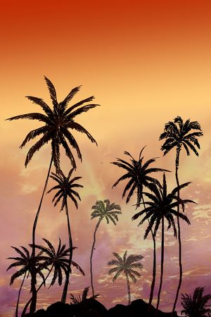 椰子树印花华亿平台图片