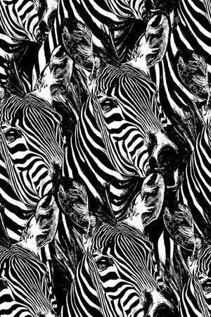 斑马纹印花华亿平台图片