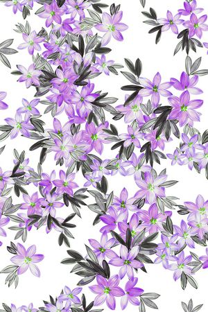 彩底花卉印花华亿平台图片