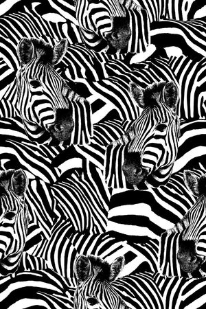 斑马纹印花华亿平台图片