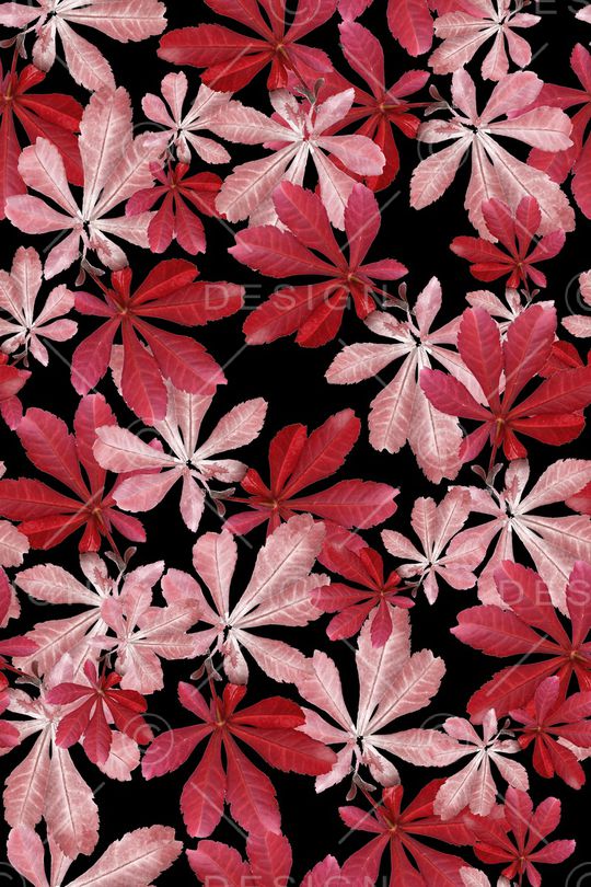 绿植树叶印花华亿平台图片