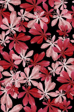 绿植树叶印花华亿平台图片