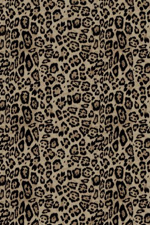 男装印花华亿平台图片