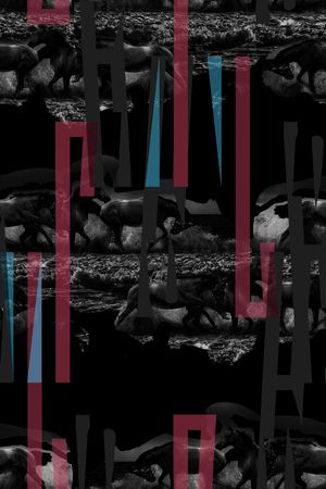 男装印花华亿平台图片