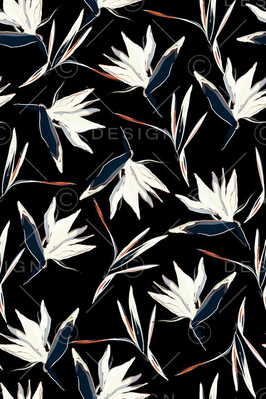 女装印花华亿平台图片