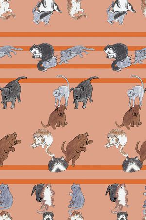 动物印花华亿平台图片